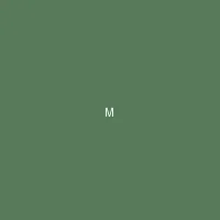 墨夜 (Midnight Ink) - 福利姬 创作者头像